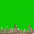 绿幕抠像高清免费视频手机剪辑素材蝴蝶与花丛