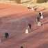 高湾中学市中小学生运动会4x100米精彩夺冠