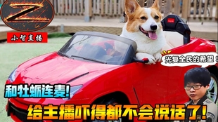 bfce8e5c8580d4a4104fe44c160c38e414f3d4de.jpg@310w_174h_1c_100q.jpg