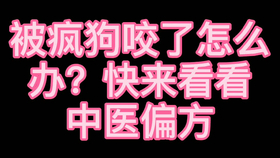 bfeec69e07ed718df4526bb23a6c956ce5126d50.png@280w_158h_1c_100q.jpg
