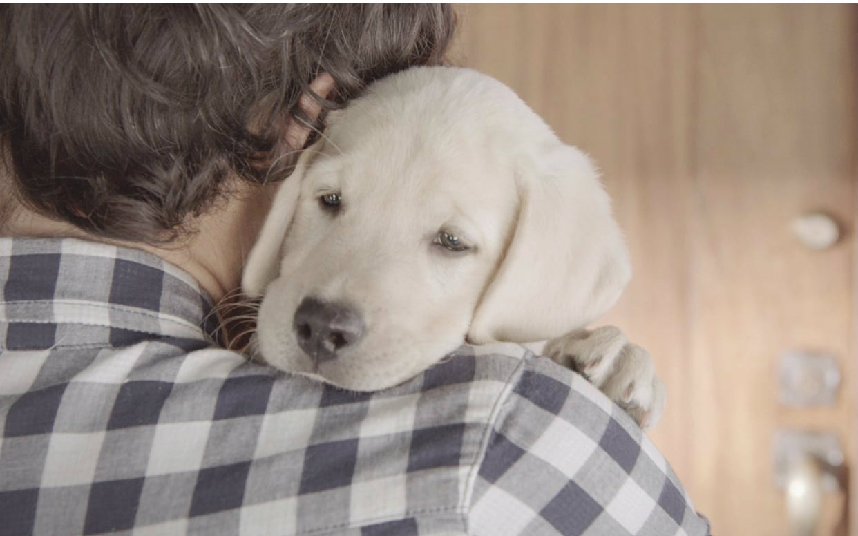 百威:你的朋友在等你 [开眼Eyepetizer-160316