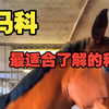 马科，最适合了解的科