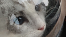 c003f75f9094c478218d33adf7061956ff7cfaf3.jpg@280w_158h_1c_100q.jpg