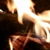 【素材共享】可商用视频剪辑素材集锦：火 火焰 烧烤 燃烧 烈火 烤肉