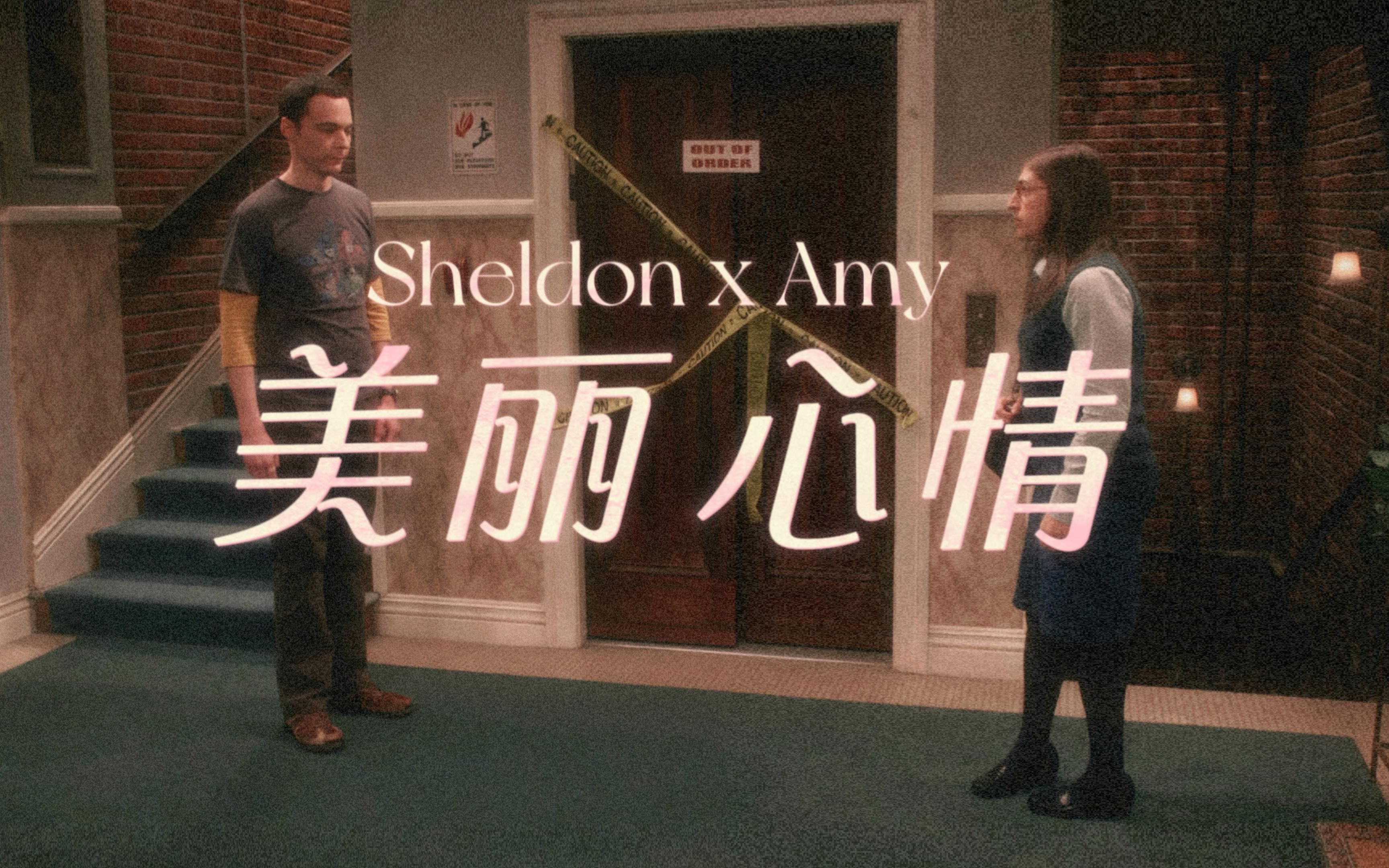 【Sheldon×Amy】让他永远记得曾经有一个人 给过完完整整的爱情