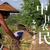 真实的农民生活是怎么样的？谁知盘中餐，粒粒皆辛苦