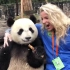 外国人和熊猫合照，姿势是哥俩好！