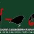【韩语中字】标题：蛇的尾巴是从哪里开始算的呢