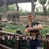 上海野生动物园vlog