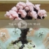 【搬】制作食用巧克力樱花树—Mongbche