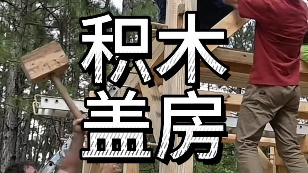 为什么美国的房子看着很整齐。