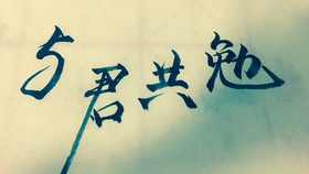 古筝曲谱青花瓷手型_青花瓷古筝曲谱(2)