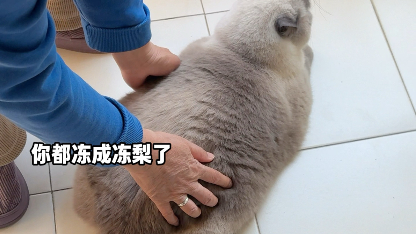 当你有个会缝纫的外婆！你将会得到…