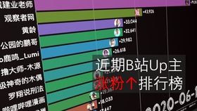 粉丝总排名_奥运金牌榜总排名2021(2)