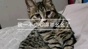 c0cbce54c6235a10d51107fc1f22bf881ca6d634.jpg@280w_158h_1c_100q.jpg