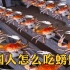 德国人怎么吃螃蟹？全自动机械化剥螃蟹，一天能吃几万只