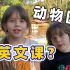 跟着老外一家人逛逛中国的野生动物园，顺便学几个英文单词吧！
