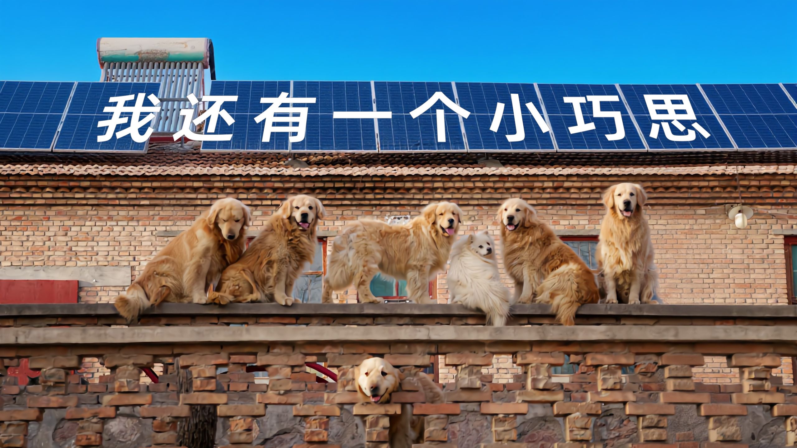 一次性缴纳30年电费？