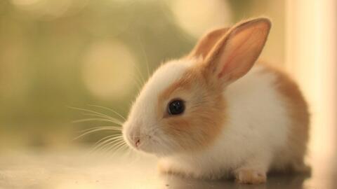 c12f2d75e8ad0e35e127dc23d088375d638fea48.jpg@480w_270h_1c