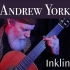 【古典吉他】安德鲁·约克（Andrew York）用这种特殊的吉他演奏 《Inkling》