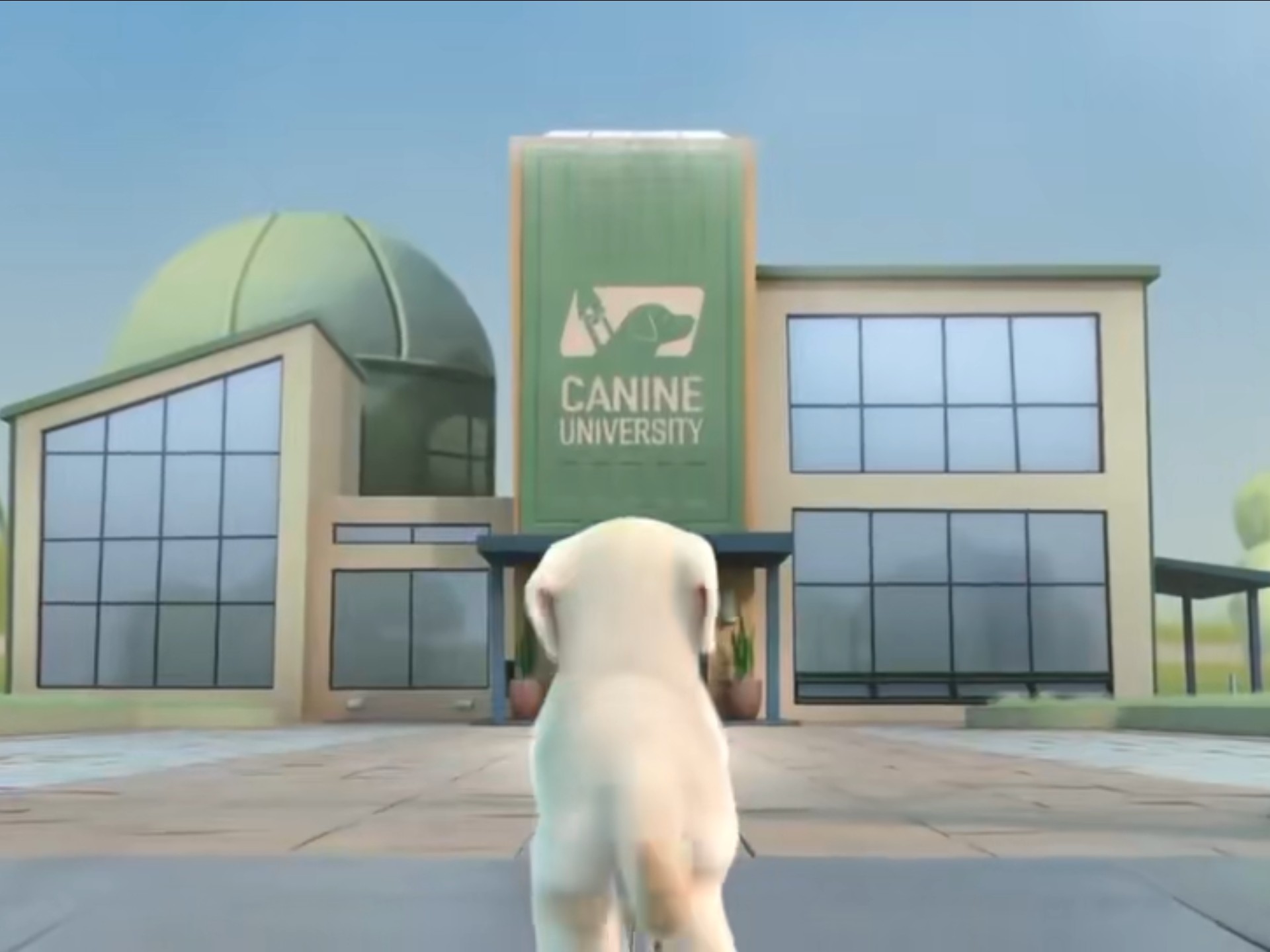 【悦纳自我】一只小狗怀揣着成为导盲犬的炽热梦想却屡屡受挫。当真正的考验来临时，正是这份“不完美”成为了照亮他人的特别光芒。