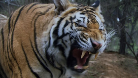 c18f1ca4677d218d0a913c48115654efb8b81275.png@280w_158h_1c_100q.jpg
