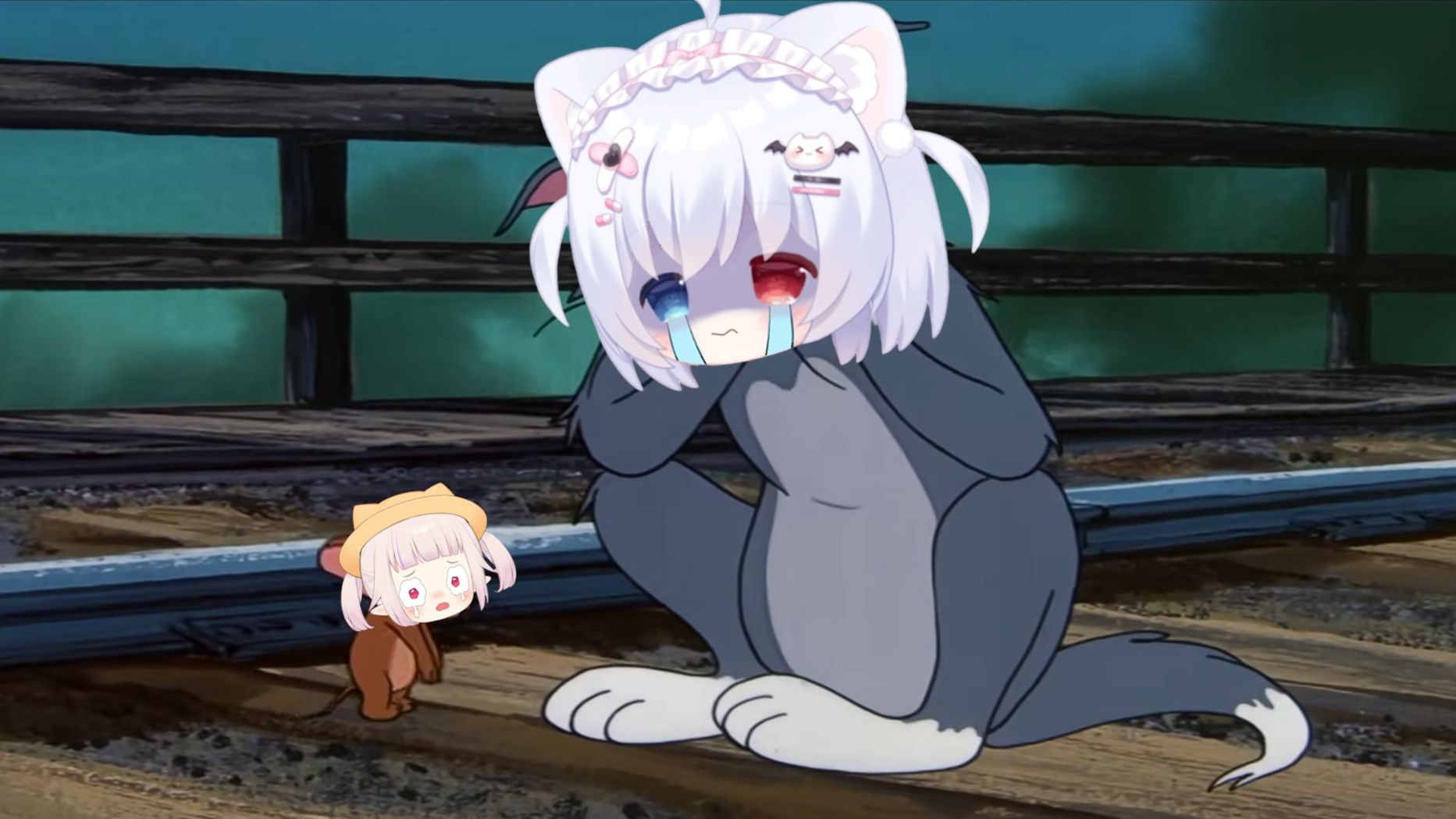 忧郁的猫