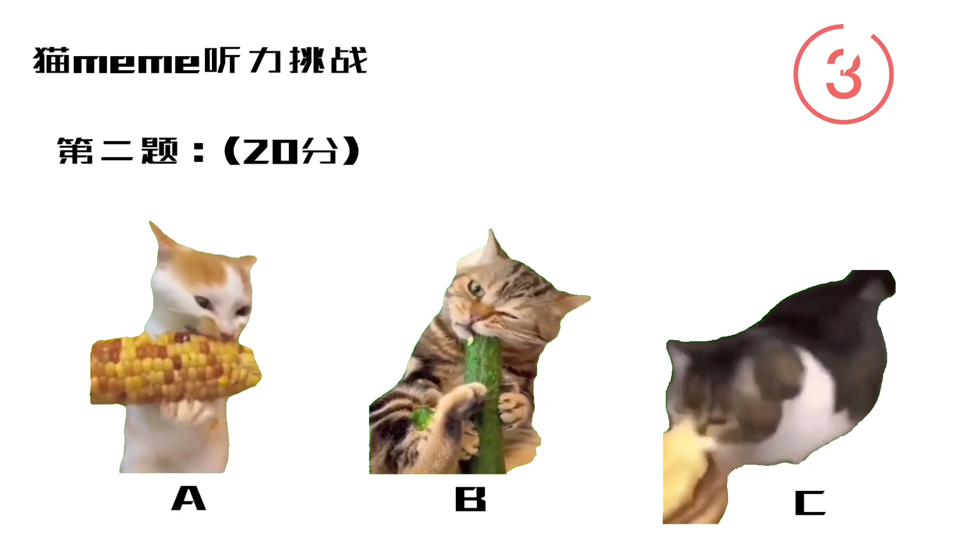 史诗级猫meme听力考试！！！
