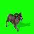 【绿幕素材】B站最全动物类型绿幕素材《 山羊 》高清画质，无水印！