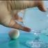 盐水浮鸡蛋实验