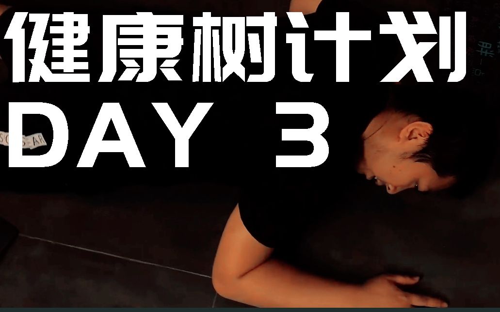 【健康树计划】Day3辛胜打卡哔哩哔哩bilibili