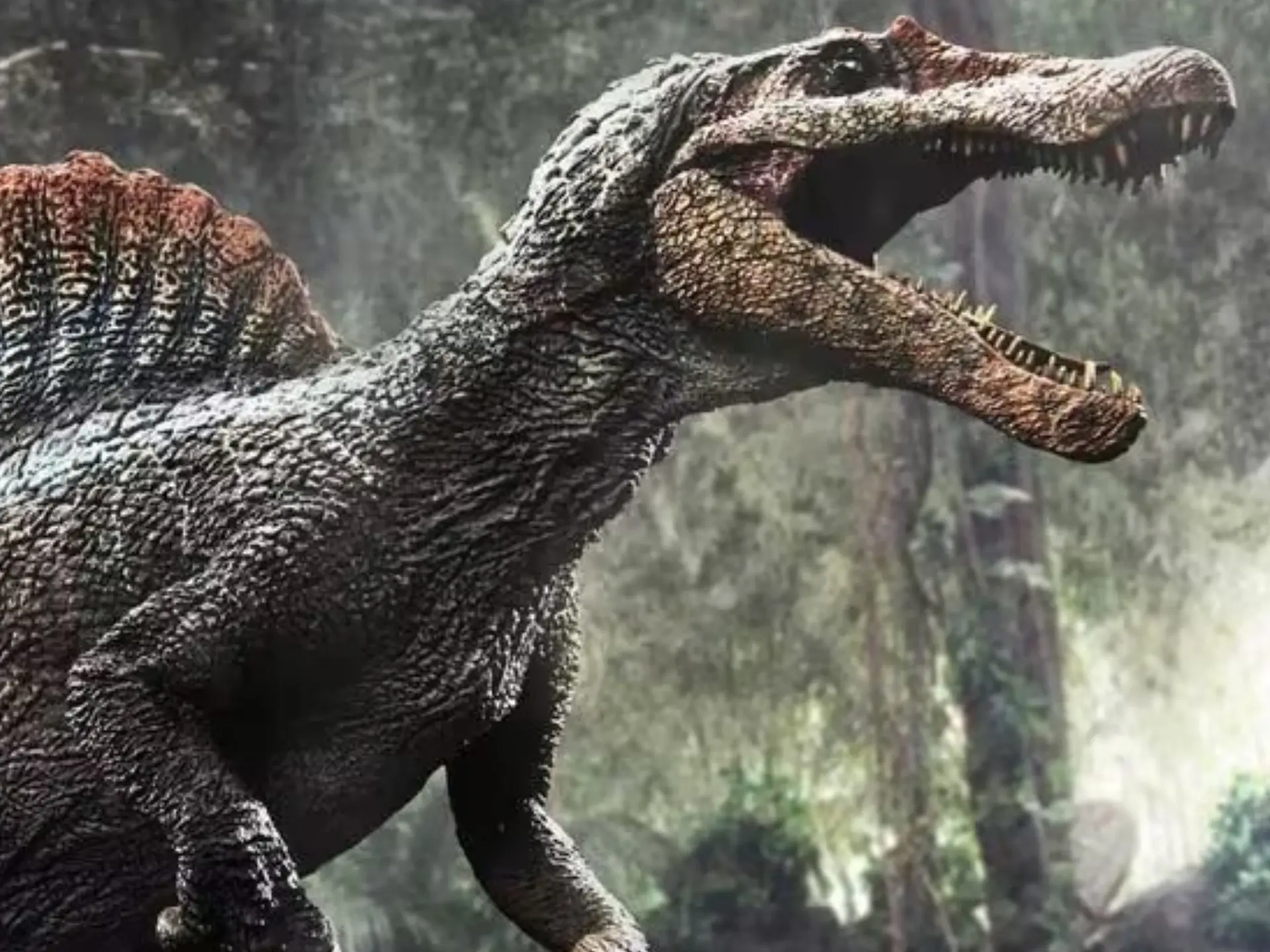 抗衡霸王龙的梦该醒了