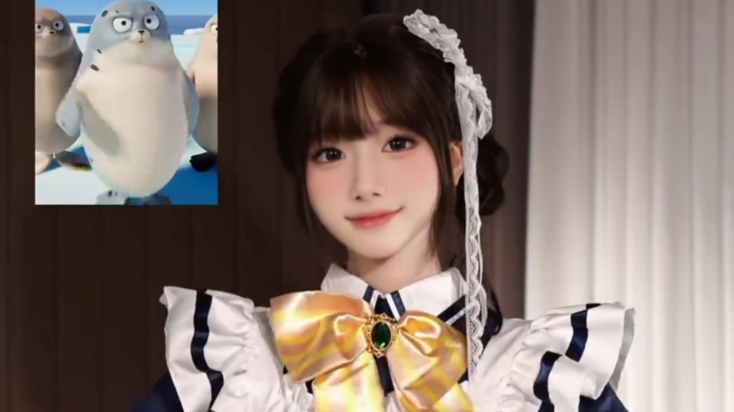 手忙脚乱的海豹舞～ qwq