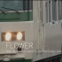【搬运】【铁道音mad】FLOWER feat.Ashikaga ofuji matsuri