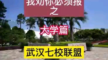大学篇之武汉七校联盟
