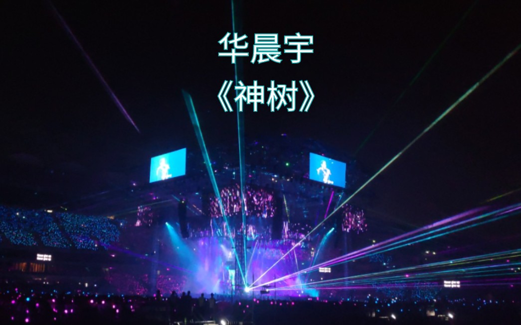 海口2019华晨宇火星演唱会1115神树宝宝首唱无杂音现场舞台灯光效果真