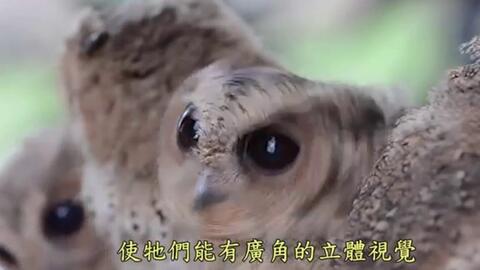 c206305feb20c0dfbd7a5bcf074a378143d9a0c9.jpg@480w_270h_1c