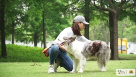 c208757eb93e037f282794ef03a07460a23183b8.jpg@280w_158h_1c_100q.jpg
