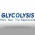 【中字】糖酵解2: 反应 Glycolysis: The Reactions