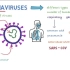 Novel Coronavirus Pneumonia