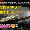 [华尔街日报]：瓦尔基里：这款隐身人工智能无人机可能成为军方的
