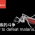 [经济学人]与疟疾的斗争