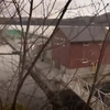 Farmed Norwegian Salmon World’s Most Toxic Food