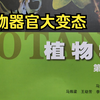 变态器官大合集