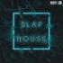 【Sample Tools - Slap House】分享一個Slap House風格的采樣包