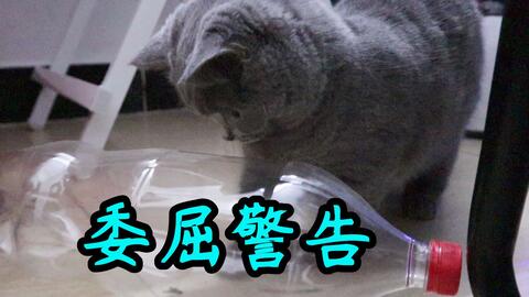 c26c8434f77c888d4e2fe5a5e52924c5b03a3f55.jpg@480w_270h_1c