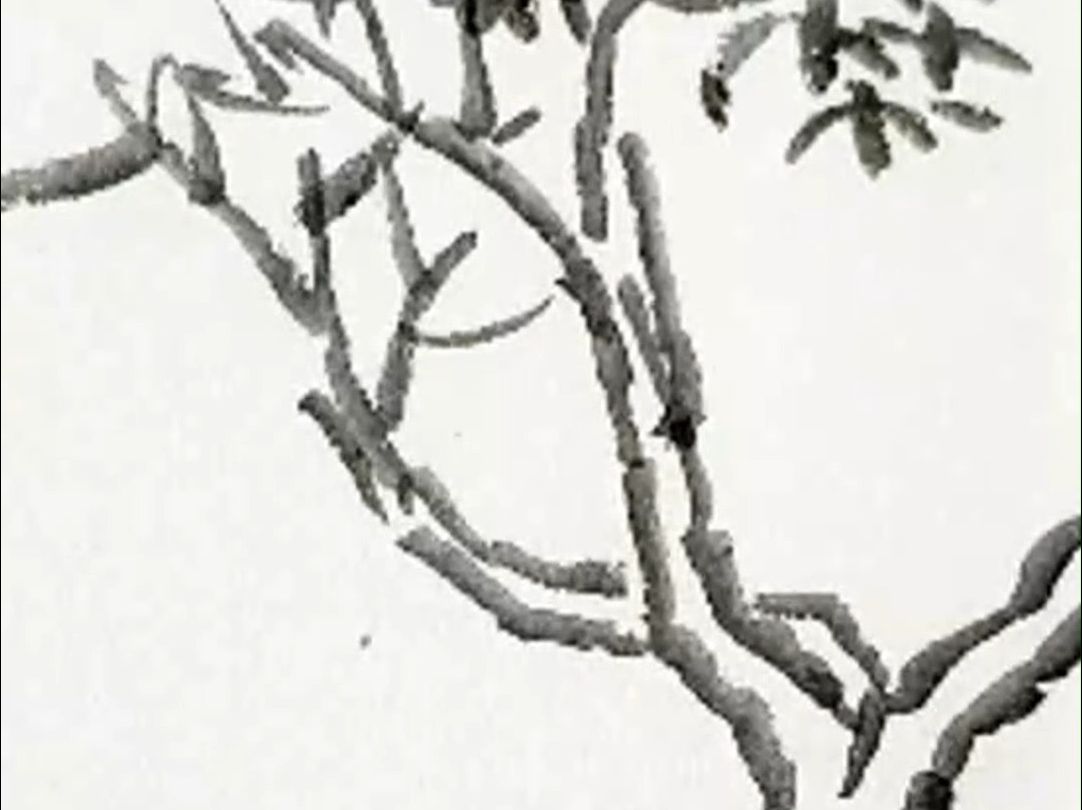 《山水小品》：树的基础画法讲解