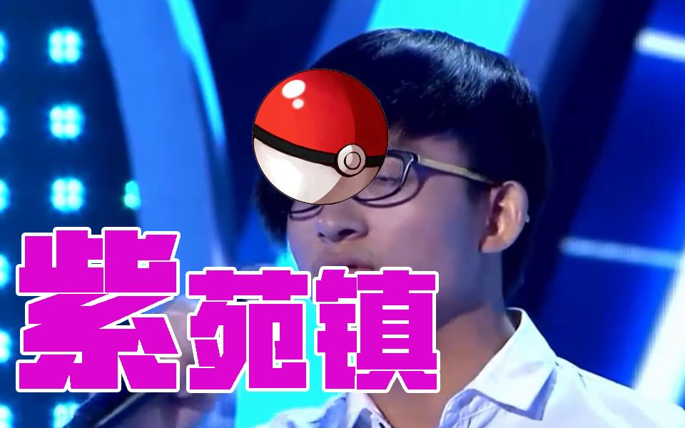 【波澜哥】紫苑镇·改