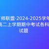 百师联盟·2024-2025学年高二上学期期中考试各科试题