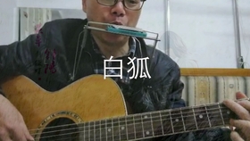 双面燕洵简谱_双面燕洵笛子简谱c调(3)
